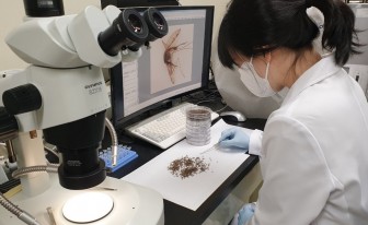 경기도 말라리아환자 10년간 5천204명…6~8월 집중
