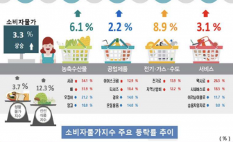12월 인천 소비자 물가 3.3% 상승…생활물가 3.7%↑