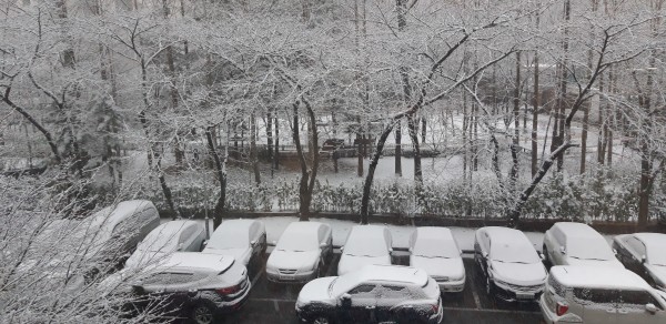 20201213_082130.jpg 20201213_082130.jpg