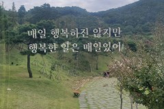 플로리다님 행복