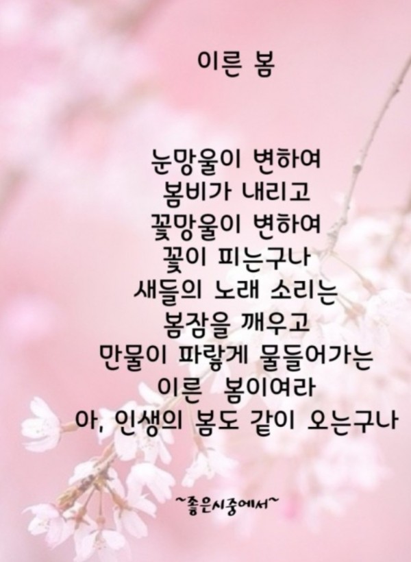 1740725916142.jpg