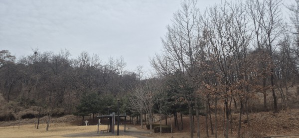 20250302_151012.jpg