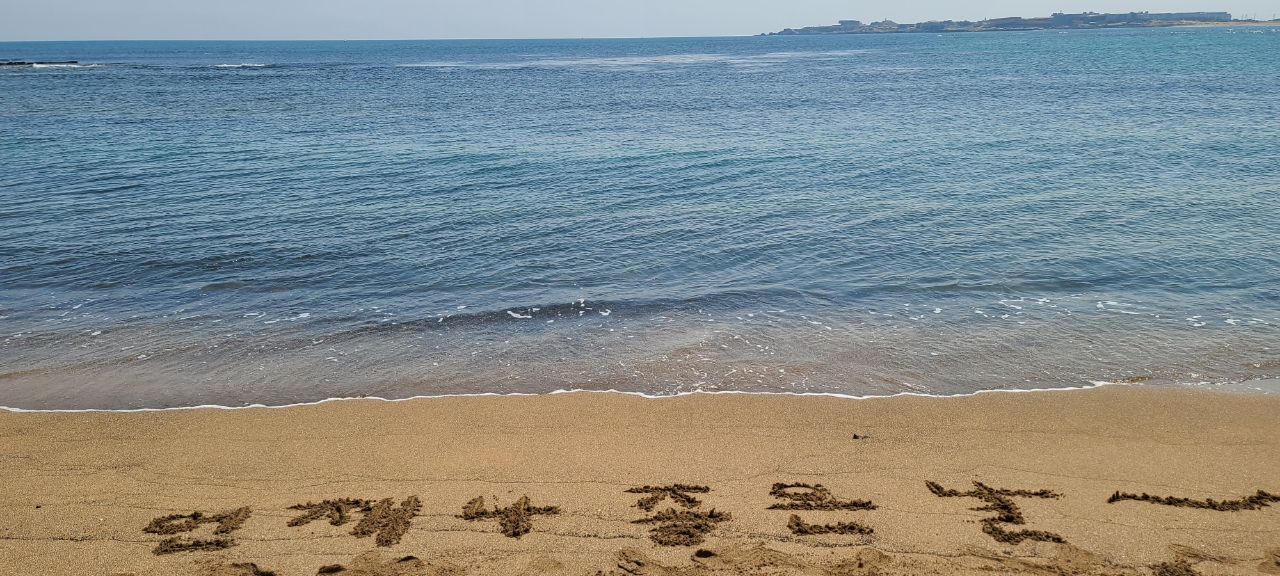 [0404] 5718님 제주사진